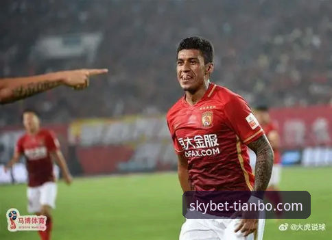 从恒大兴衰看体育投资：规避风险的实用指南