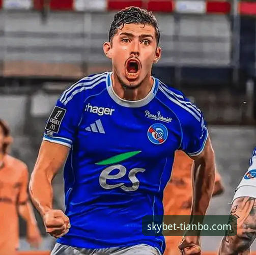 从帕尼切利重伤事件，看天博体育平台v2.2.1的赛事信息深度解析体验